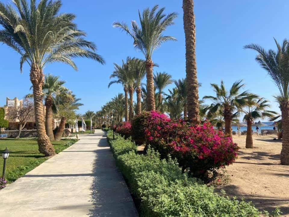 Brayka Bay Reef Resort Abu Dabab Exterior photo